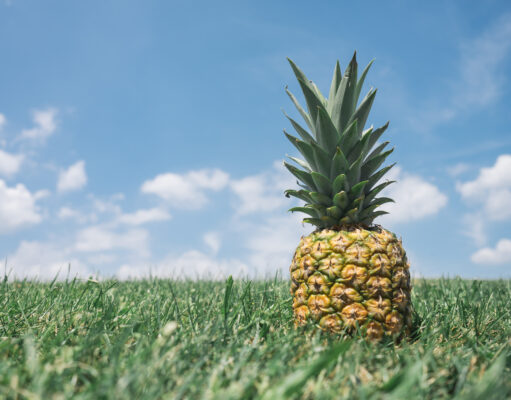 Pineapple Vinegar Benefits and Side Effects