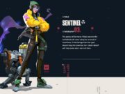 Know Your Role and Agent in Valorant