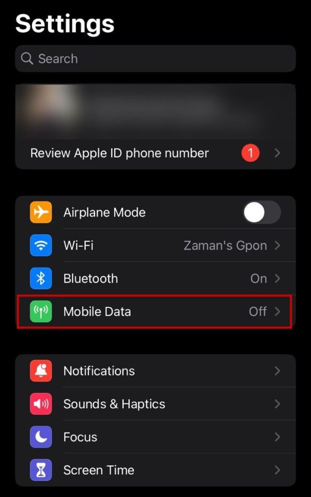 iPhone mobile data settings